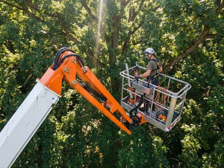 Oranje en witte hoogwerker in groene boomkruin voor professionele boomverzorging met zichtbare apparatuur
